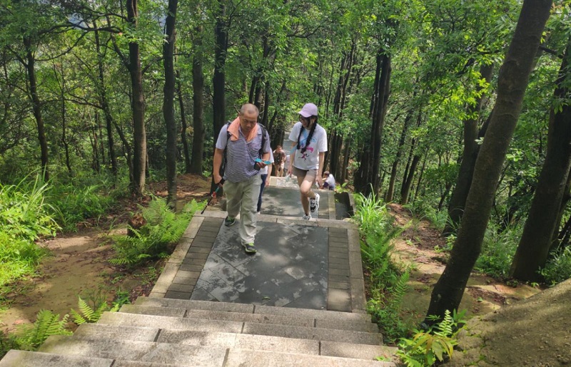 攜手并進·沖刺2019|云里物里營銷中心登山拓展活動圓滿結束!