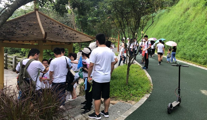 攜手并進·沖刺2019|云里物里營銷中心登山拓展活動圓滿結束!