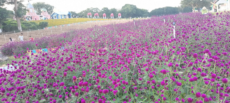 2020年云里物里制造中心團建活動圓滿結束